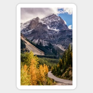 The Poplars of Yoho Valley Road Sticker